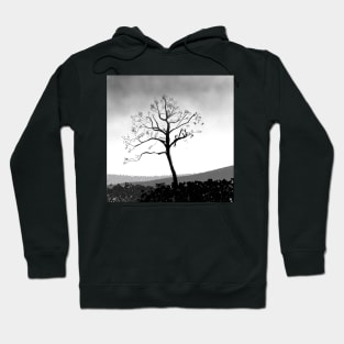 Lonely Winter Tree Hoodie